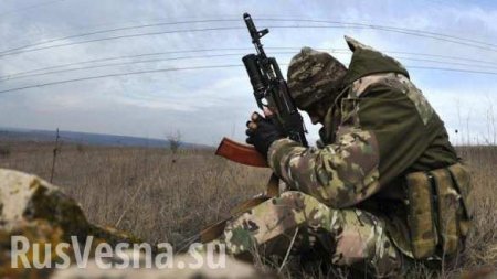 На Донбассе погиб командир разведки «горных штурмовиков» ВСУ (ФОТО)