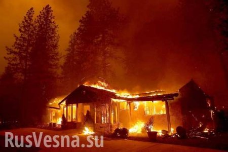 Жителей Калифорнии не оповестили о смертоносных пожарах, «чтобы не вызвать паники»