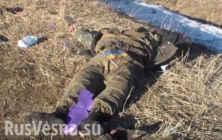 «ВСУшники» бросили убитых «побратимов» у линии соприкосновения: сводка о военной ситуации на Донбассе