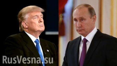 Названы темы переговоров Путина и Трампа на G20
