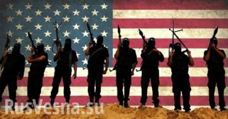 Адский конвейер: тысячи боевиков США пополнили армию террористов, неся смерть Сирии и Ираку