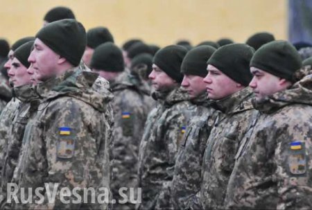 На Украине стартуют масштабные военные сборы (ВИДЕО)