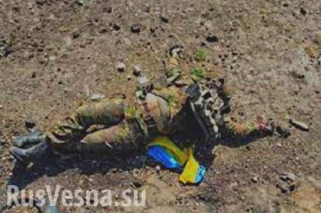 Минобороны Украины сообщает о потерях на Донбассе