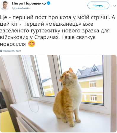 «Допился до котиков»: Порошенко высмеяли из-за кота (ФОТО)