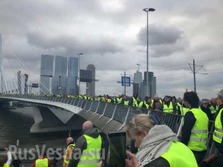 Призрак бродит по Европе: «Жёлтые жилеты» добрались до Нидерландов (ФОТО)
