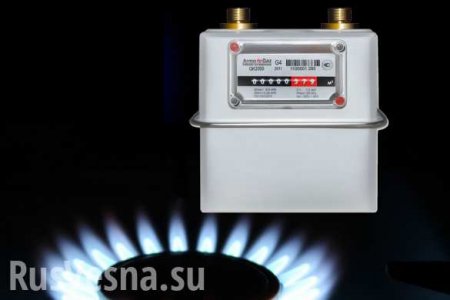 Россиян хотят обязать установить «умные счетчики» на газ