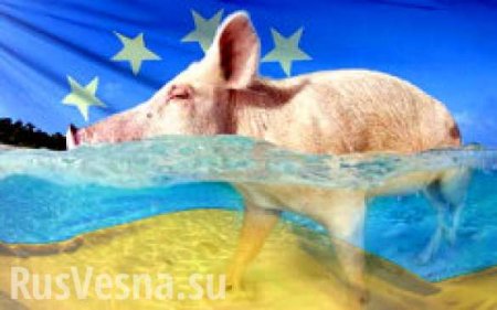 «ЕС устал от Украины»: почему Европа не хочет вводить санкции после провокации в Керченском проливе
