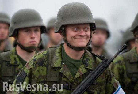 «Эстонский солдат — лучший солдат в мире», — Минобороны Эстонии