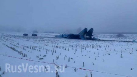 Появились кадры с места падения Су-27 под Житомиром (ФОТО)