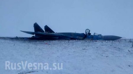 Появились кадры с места падения Су-27 под Житомиром (ФОТО)