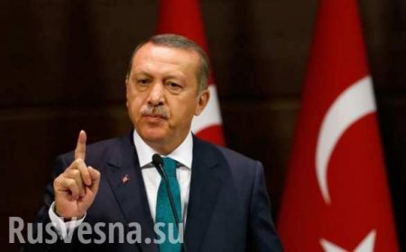 Трамп одобрил турецкую военную операцию в Сирии, — Эрдоган