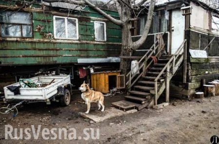 Цэ Европа: Под Одессой люди живут в старых вагонах (ФОТО)