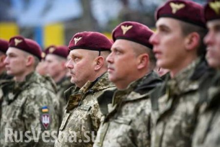 Украина перебрасывает десантно-штурмовые войска к побережью Чёрного и Азовского морей