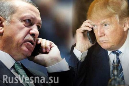 «Знаешь что? Она твоя» — Трамп «слил» Сирию в телефонном разговоре с Эрдоганом