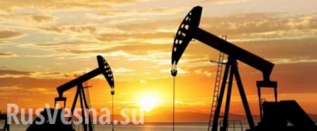 Нефть летит в бездну? Минэнерго ждёт стабилизации летом 2019 года
