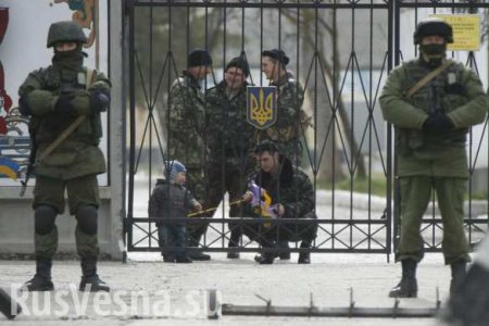 Минобороны сравнило армию РФ и ВСУ, ответив на скандальный бред украинской и либеральной пропаганды