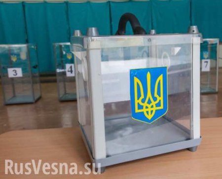«У нас правят дебилы», — депутат Рады о закрытии избирательных участков в России (ВИДЕО)