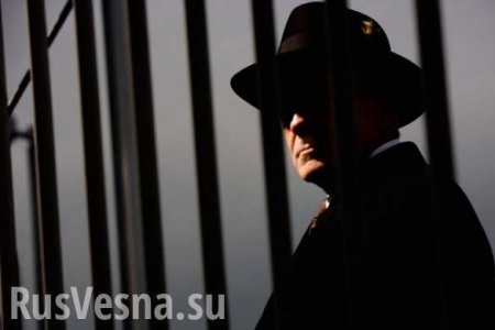 Американский шпион, арестованный в Москве, имеет британское гражданство, — Times