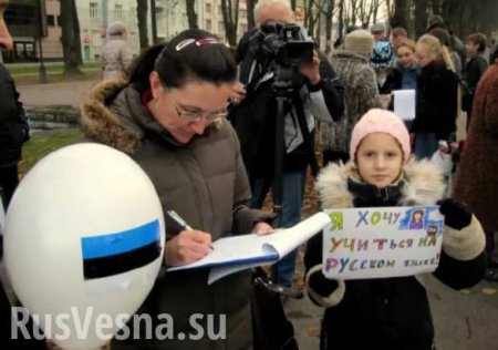 Президент Эстонии объявила об отмене обучения на русском языке