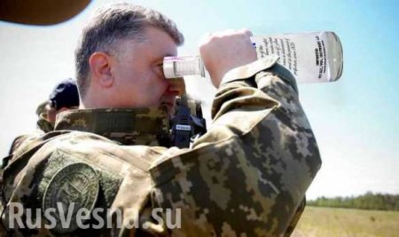 «Подлиз засчитан»: В Сети высмеяли попытки украинского пропагандиста обелить «пьяного в жопу» Порошенко