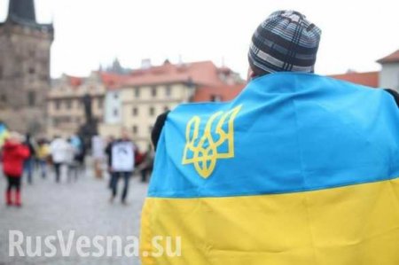 Отвернись во гневе: «Эмиграунд» как новая нормальность Украины