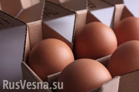 Яйца в России начали продавать девятками (ФОТО)