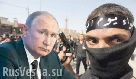 МОЛНИЯ: схвачен боевик ИГИЛ, готовивший покушение на Путина в Сербии, — источник (ФОТО)