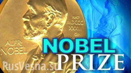Жительницу ДНР выдвинули на Нобелевскую премию (ФОТО, ВИДЕО)