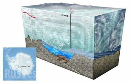 Подо льдами Антарктиды найдены мертвые организмы (ФОТО, ВИДЕО)