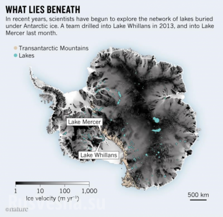 Подо льдами Антарктиды найдены мертвые организмы (ФОТО, ВИДЕО)