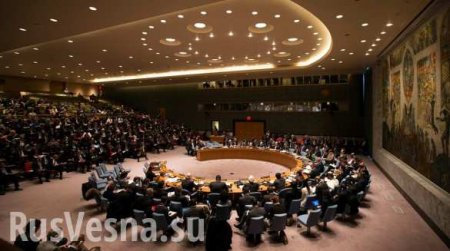 Россия защитила Венесуэлу в Совбезе ООН (ВИДЕО)