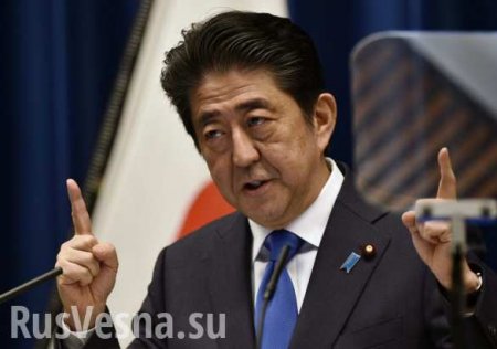 Суверенитет Японии распространяется на южные Курилы, — Абэ 