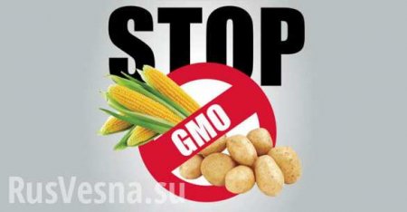 Россия прекратит импорт продуктов с ГМО