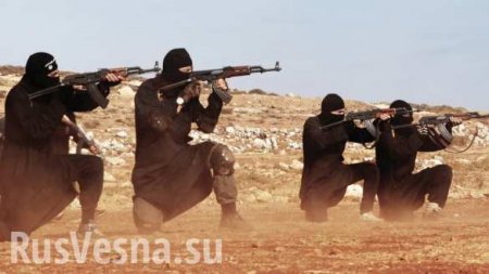 Террористы ИГИЛ атаковали позиции сирийской армии после удара коалиции