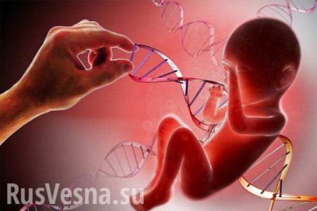 Власти Китая подтвердили существование «генетически редактированных» детей