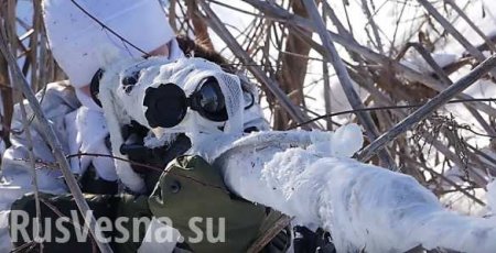 ВСУ перебросили на Донбасс иностранных снайперов-наёмниц (ВИДЕО)