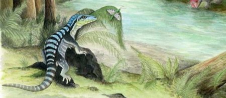 Король Антарктики: учёные открыли новый вид предков динозавров (+ФОТО)