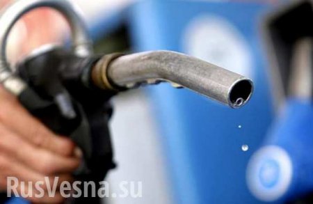 ФАС нашла виновных в резком росте цен на бензин в прошлом году