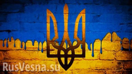Зрада: в Чехии назвали «фашистским режимом» украинскую власть