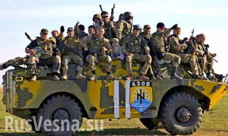Порошенко избавляется от неонацистов, отправляя их на фронт: сводка о военной ситуации на Донбассе