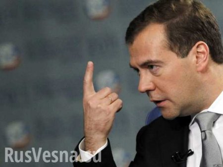 Медведев пообещал российской экономике мощную «гравитацию»