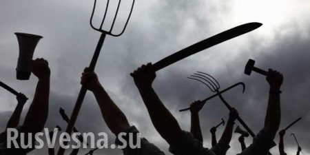 В Киеве зоозащитники устроили самосуд над живодёром (ВИДЕО)