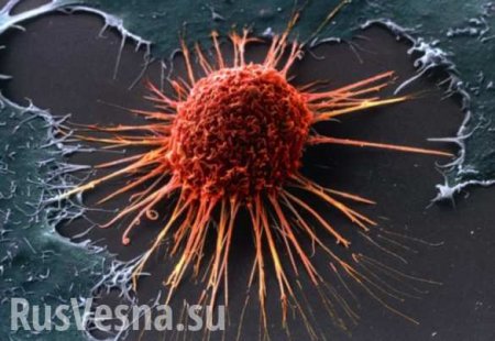 Учёные заявили о новом механизме защиты организма от рака