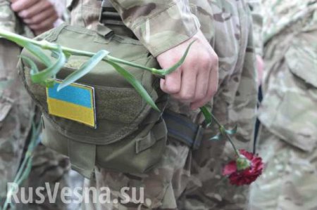 На Донбассе уничтожен боевик бригады имени Короля Даниила