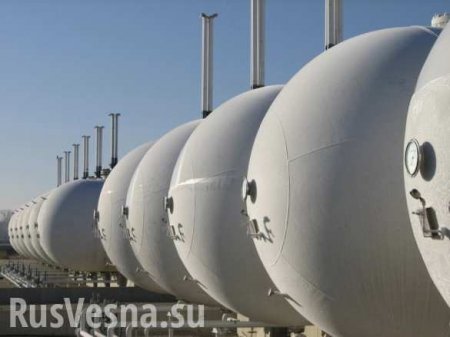 Газовые санкции помогут России создать передовую отрасль с нуля