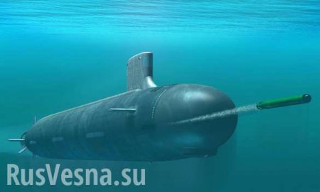 В США испугались новейшей российской «торпеды апокалипсиса» (ВИДЕО, ФОТО)