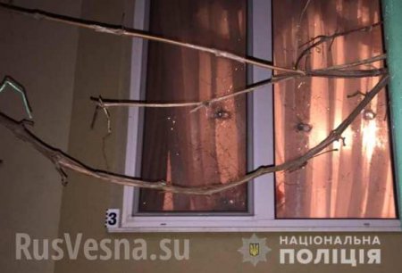 Это Украина: в дом судьи швырнули гранату и обстреляли из АК (ФОТО)