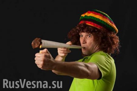 Их бы «попустило», — украинский врач рассказал о пользе марихуаны для «АТОшников»