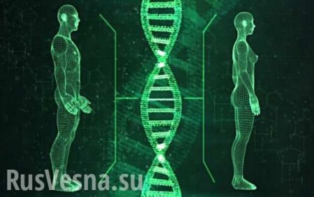 Удар по ДНК: Россия в прицеле нового вида биологического оружия США