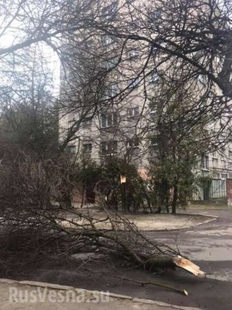 Львов под ударом стихии: по Украине идёт ураган (ФОТО, ВИДЕО)